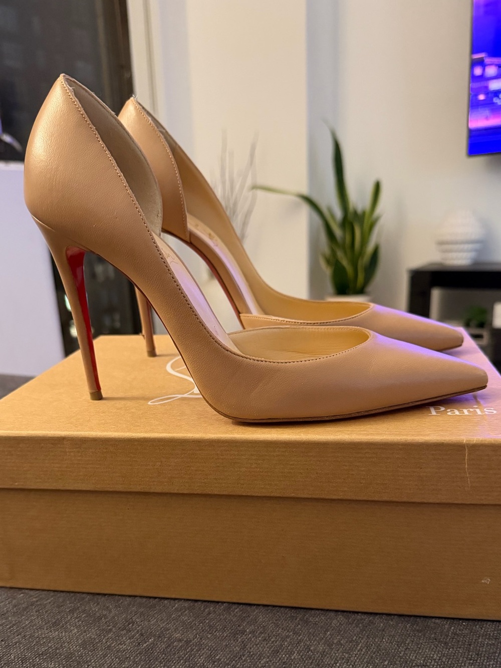 Christian Louboutin Iriza 100mm Nude Pointed Toe Stiletto Pumps